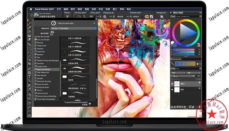 corelpainter2021formacv21艺术绘画软件中文汉化破解版下载