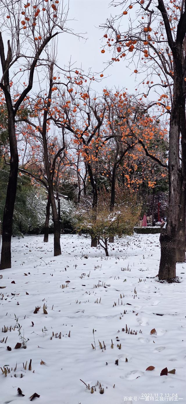 北京的第一场雪,你那下雪了吗
