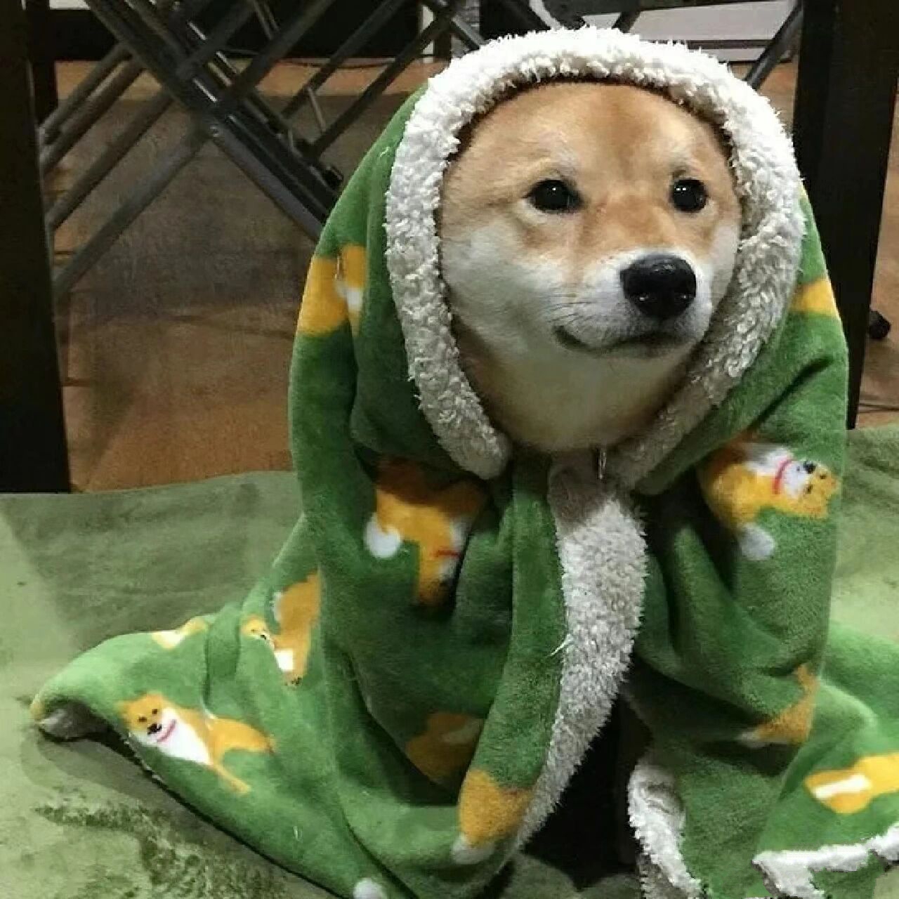 搞笑男女必备,沙雕头像949794