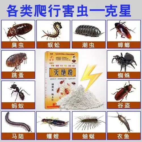 虫子有小卫生间蜱虫室内杀虫家用潮湿杀虫剂(卫生农药)