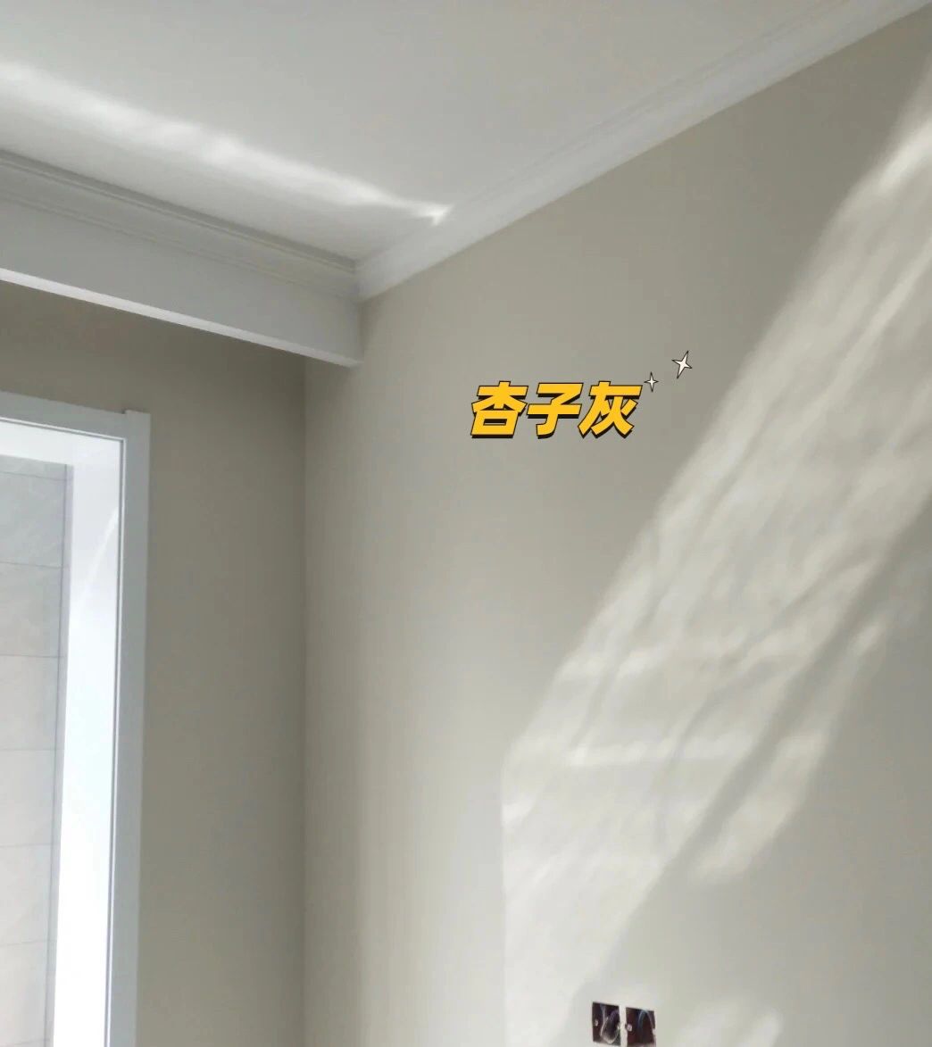 简直可以无脑选择杏子灰和可可蛋奶 	 96杏子灰