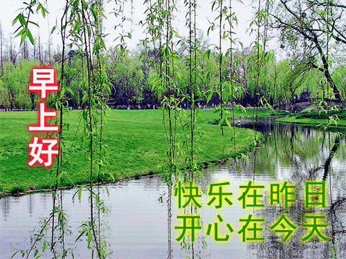 8张唯美好看的鲜花早上好动态图片带字早安图片祝福问候句子