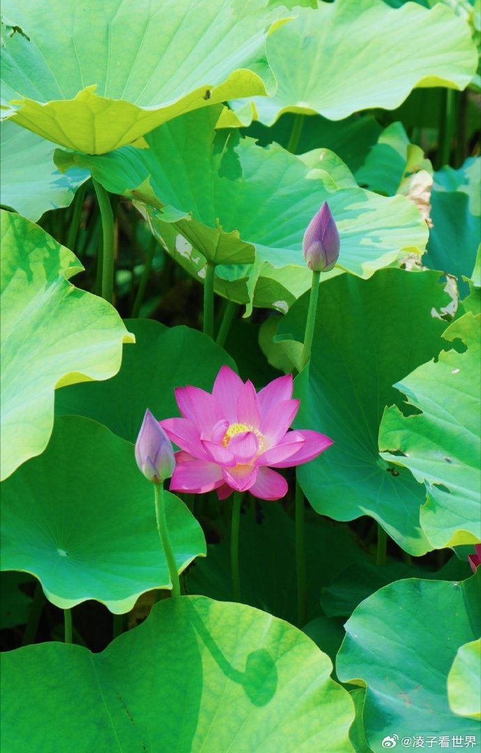 喜欢自然风景,生态,候鸟的朋友可以看过来.