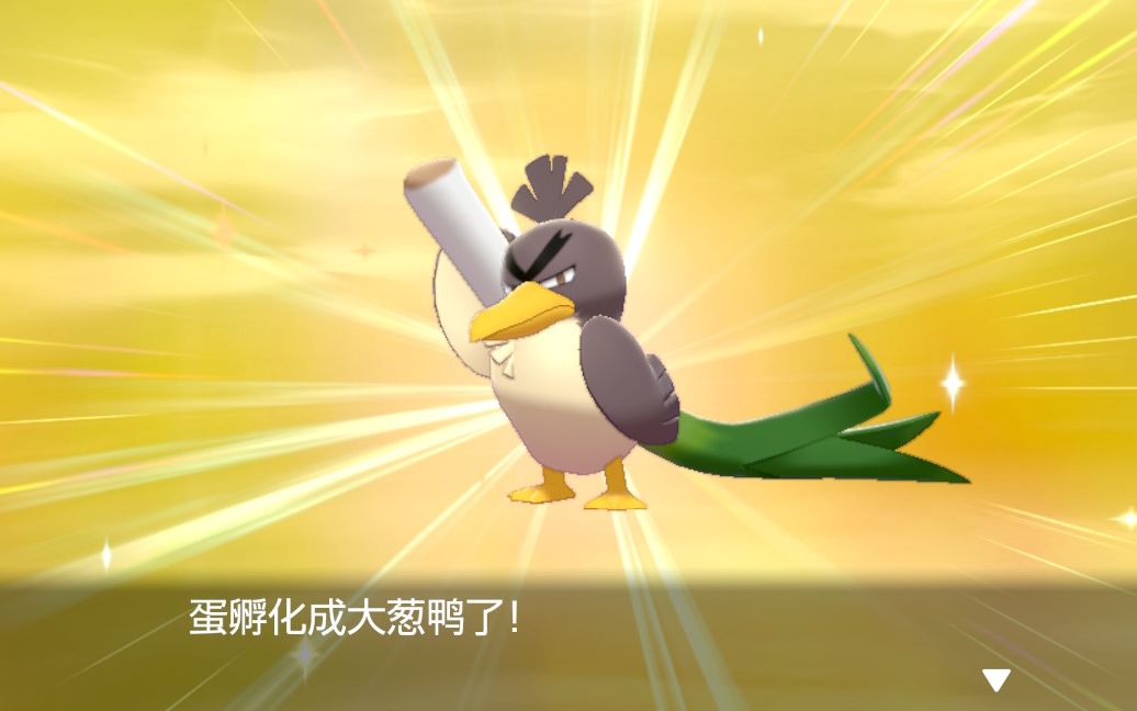 m的宝可梦剑盾色违79闪光伽勒尔大葱鸭