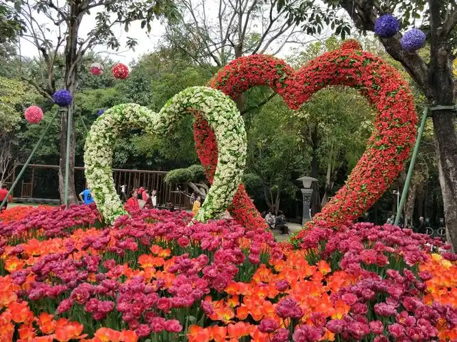 南宁青秀山公园《花展》