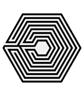 求一张exo中毒logo的手机壁纸(尺寸要正确)