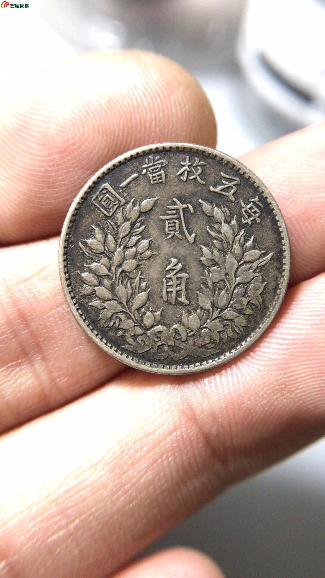 03大头两角两枚