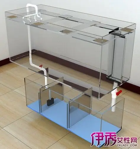 【图】揭秘鱼缸底滤原理 解析其优缺点及如何弥补缺陷