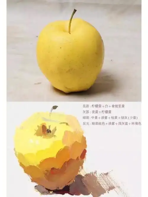 又带来【水粉涨粉必备】单个物体调色解析还不会画罐子,水果,西红柿的