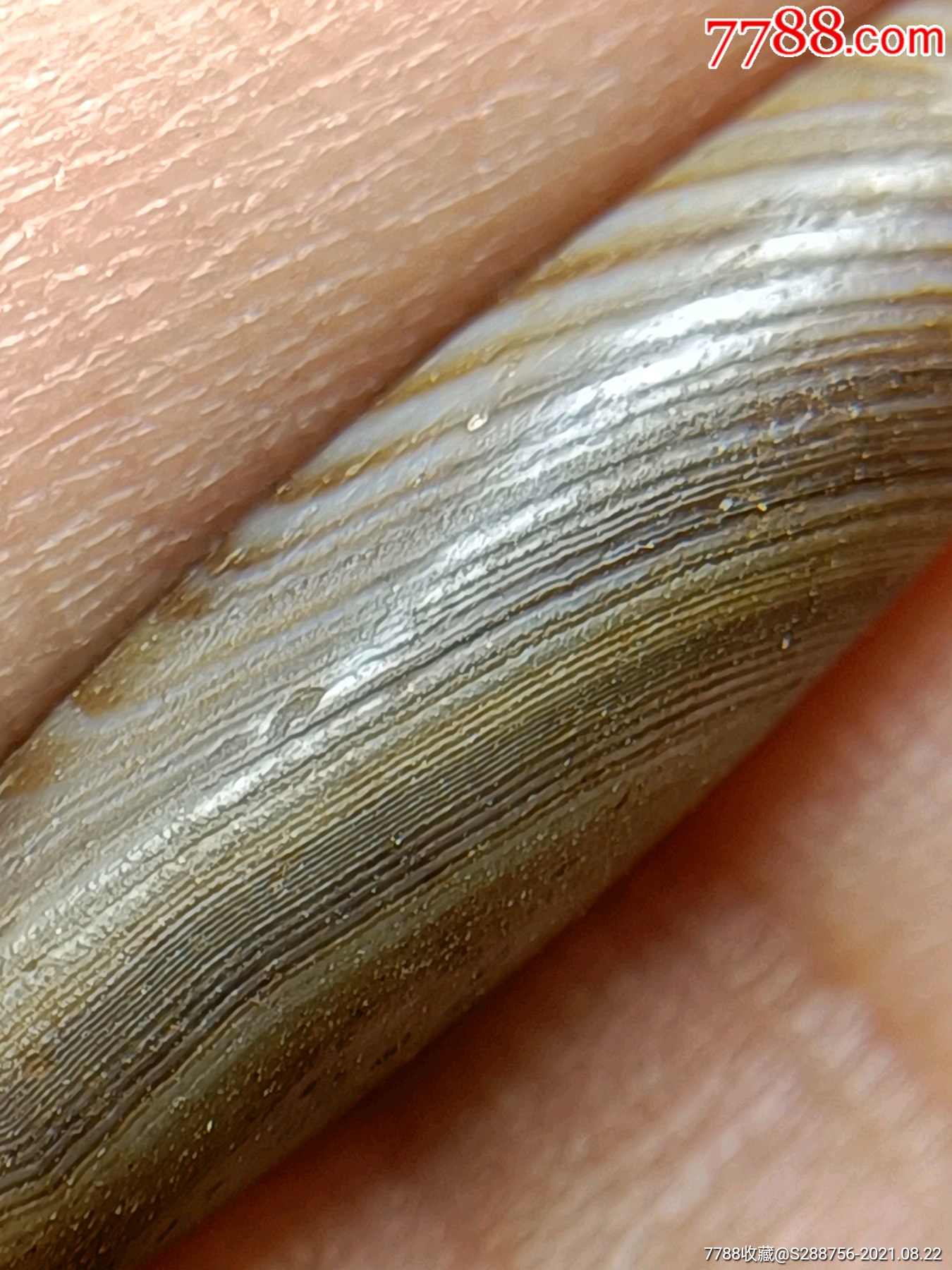 老缠丝玛瑙一对