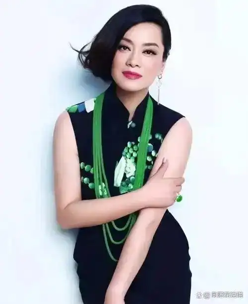 毛阿敏韩红,这位来自西藏的女歌手,以其高亢激昂的嗓音和深情的演唱