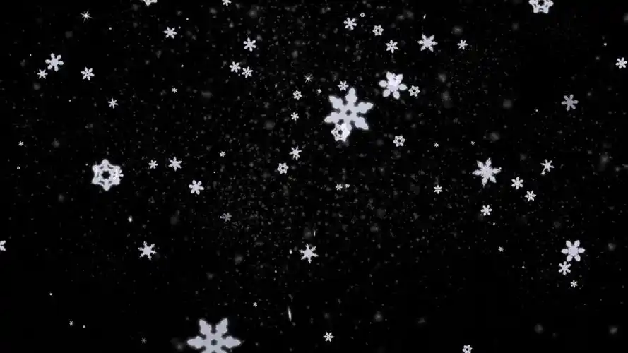 雪花粒子飘落
