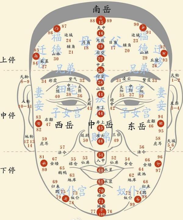 麻衣相法口诀(麻衣相法手相面相口诀) - 科猫网