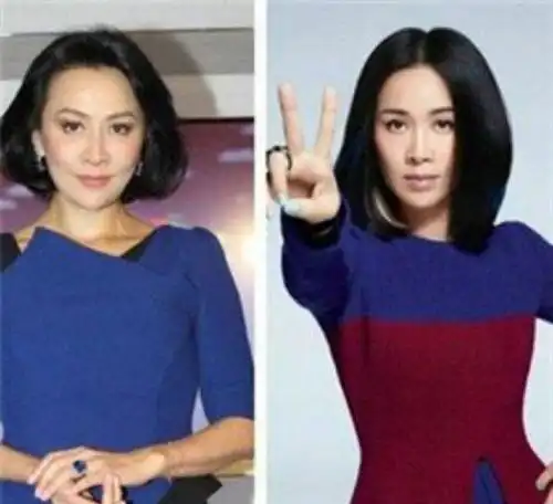 刘嘉玲92年旧照神似佘诗曼,颜值被鼻孔带走了?网友:说的那英吗