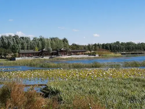 北京大兴南海子公园(二期)的秋天!2018.10.09