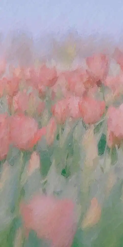 求油画风郁金香壁纸