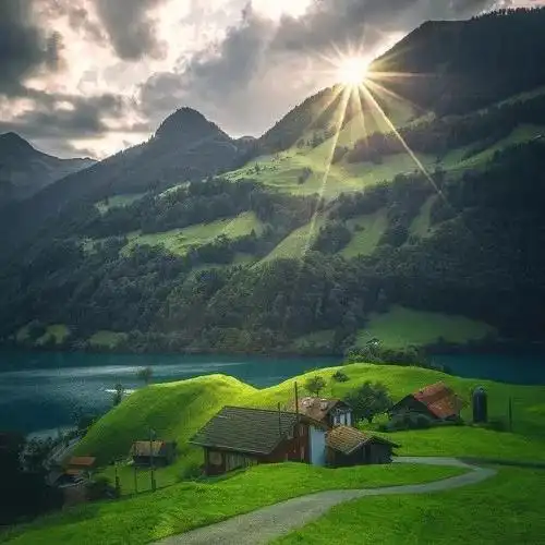 2020带来好运的微信头像风景