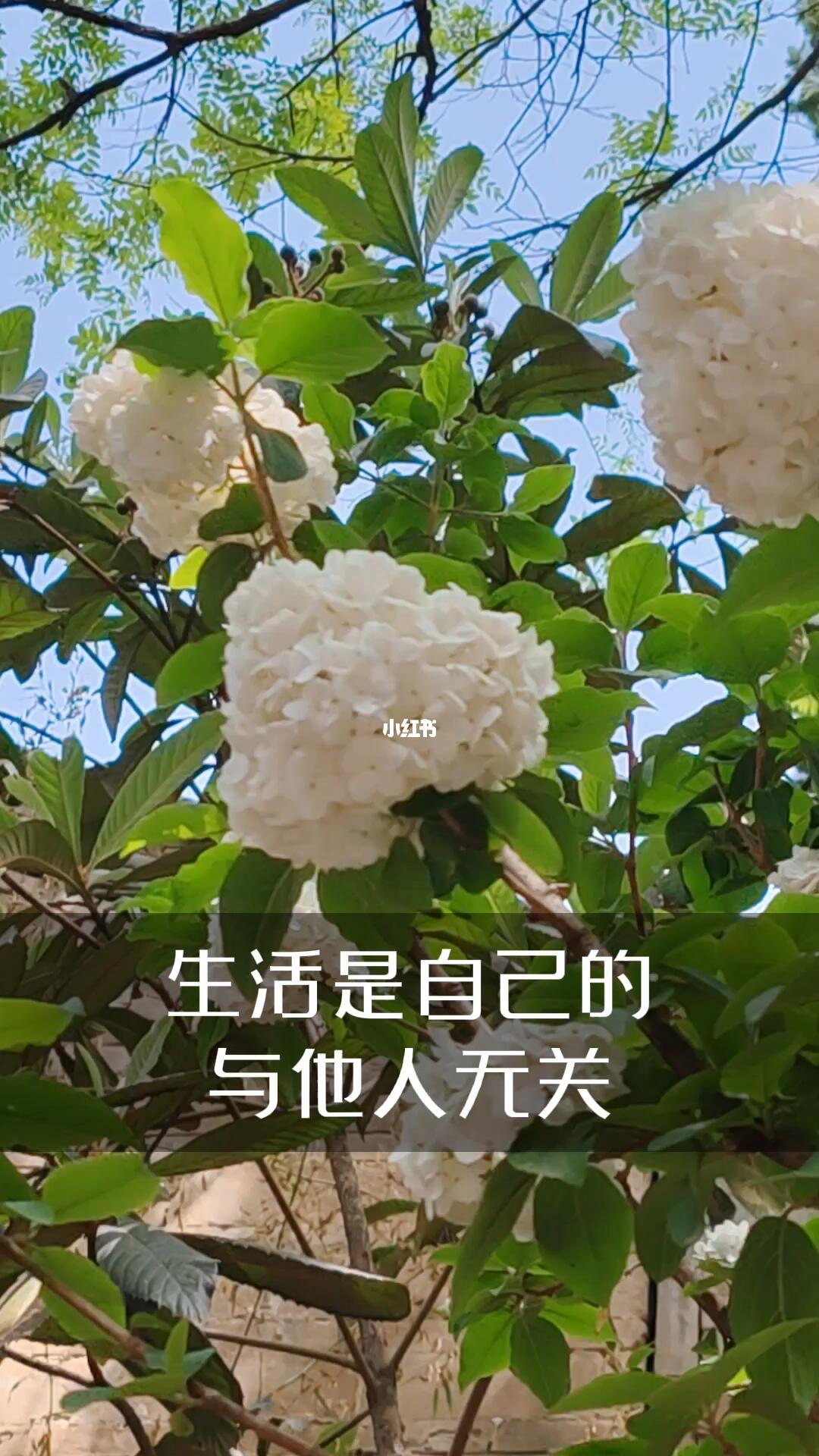 活出自己的精彩