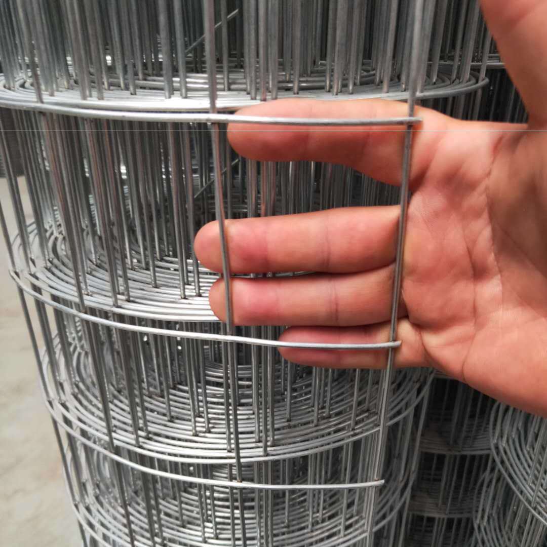 玉米棒囤放架子管米网苞米网圈玉米笼镀锌铁丝网圈棒子网围栏网