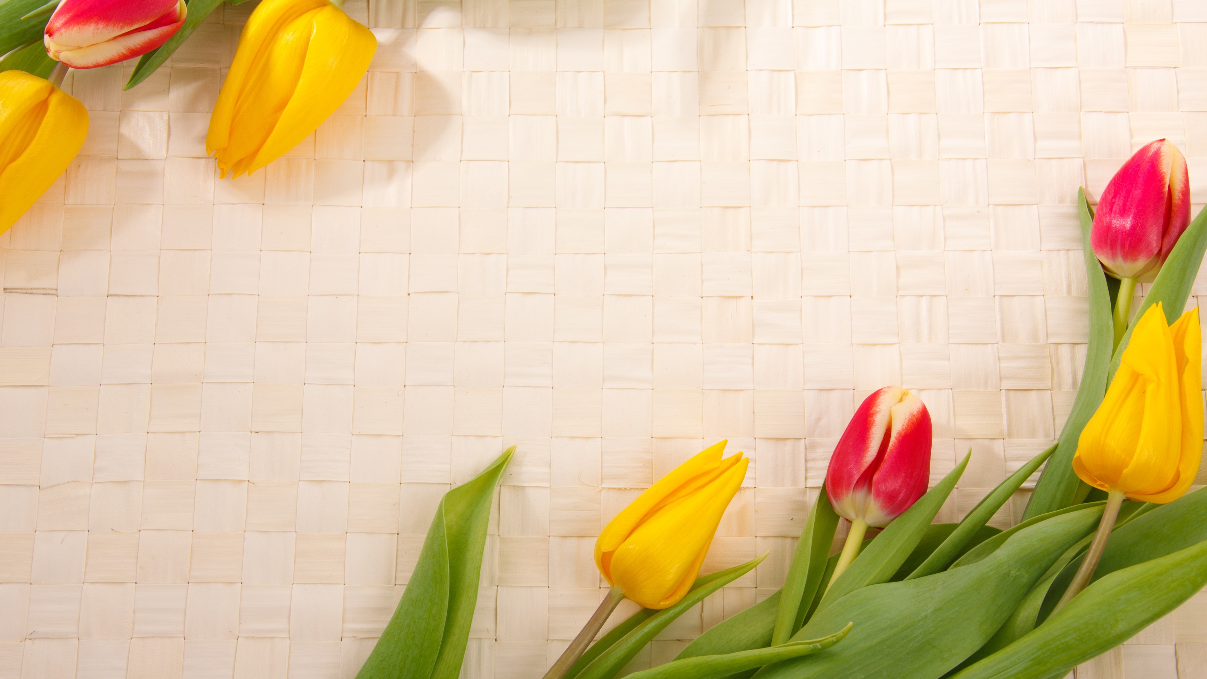 简约淡雅放在竹编背景上的郁金香背景图片壁纸