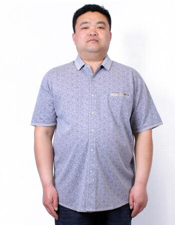 短袖 商务休闲胖子大码衬衫 胖人大号男装衬衣 灰色 3xl/190(180斤)