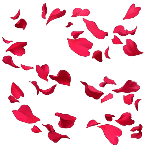 飘落的玫瑰花瓣图片