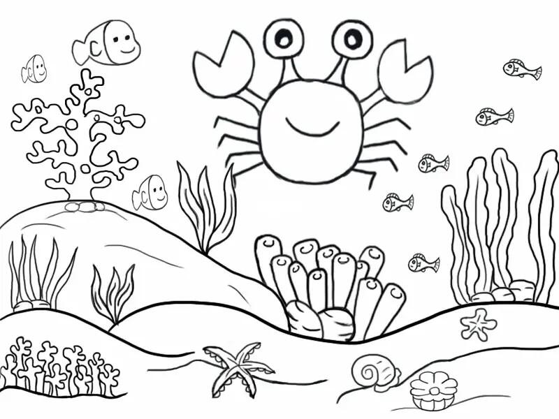 海底世界简笔画