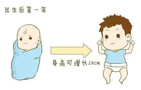 15,孩子zi身高gāo属于矮小,此年龄段儿童常见的de矮小原因有甲状腺