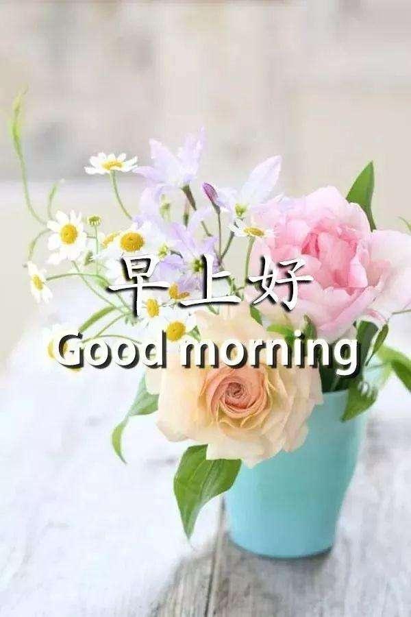清晨送朋友最暖心的早安祝福短句,早上最美的问候表情图片