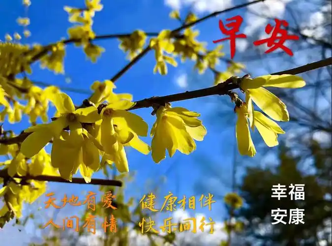 我用自己拍摄的照片制作的早安图片9393 - 美篇