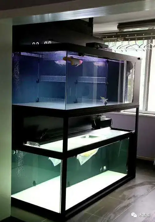 您的鱼缸真的安全吗?_玻璃_厚度_酸性