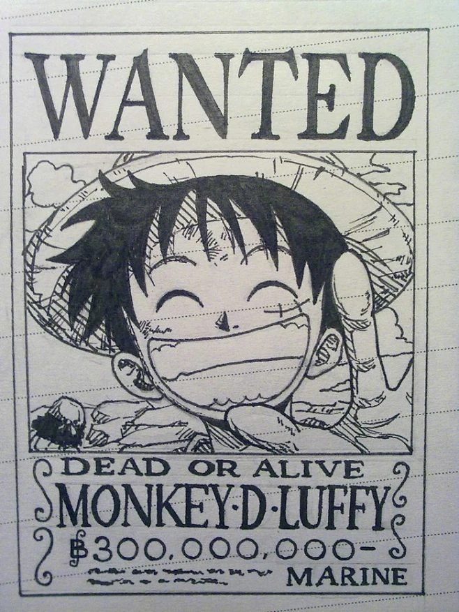 路飞通缉令画的很小呵呵