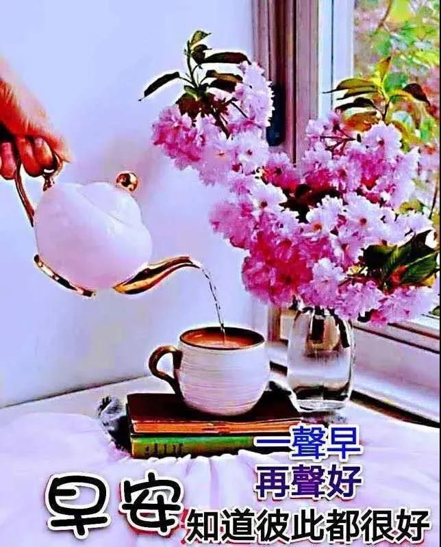 不用打字聊天的早安祝福图片创意唯美的朋友早上好问候祝福语图片带字