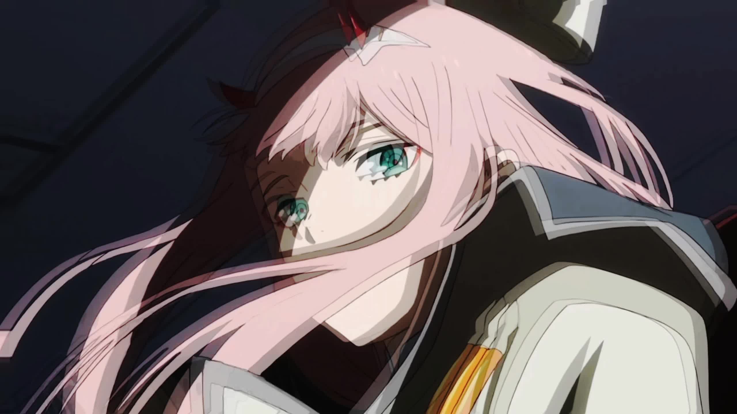 莓 #国家队02 #yf漫剪团 #秋日暴击