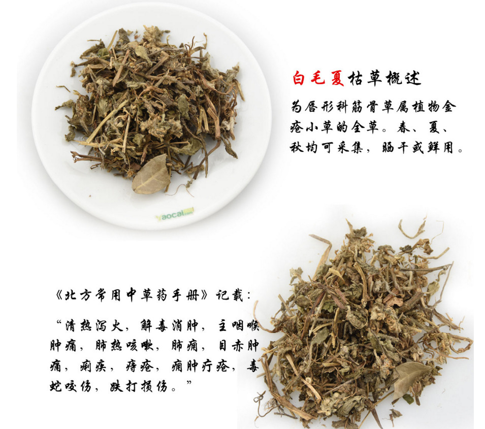 白毛夏枯草散血草金疮小草青鱼胆草苦草中药材批发包邮