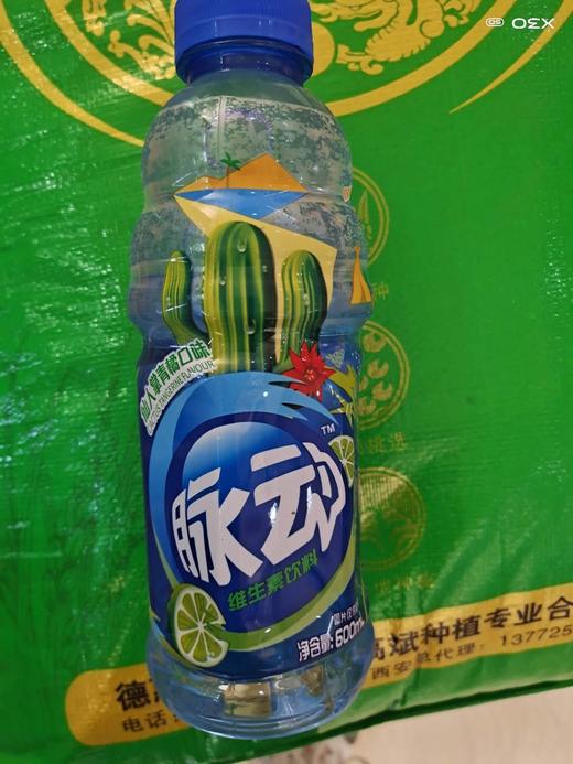 脉动仙人掌口味