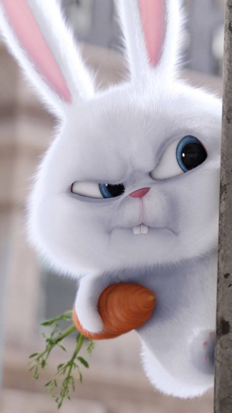 小清新/可爱/兔子/呆萌._手机壁纸_唯美其他手机壁纸_我要个性网