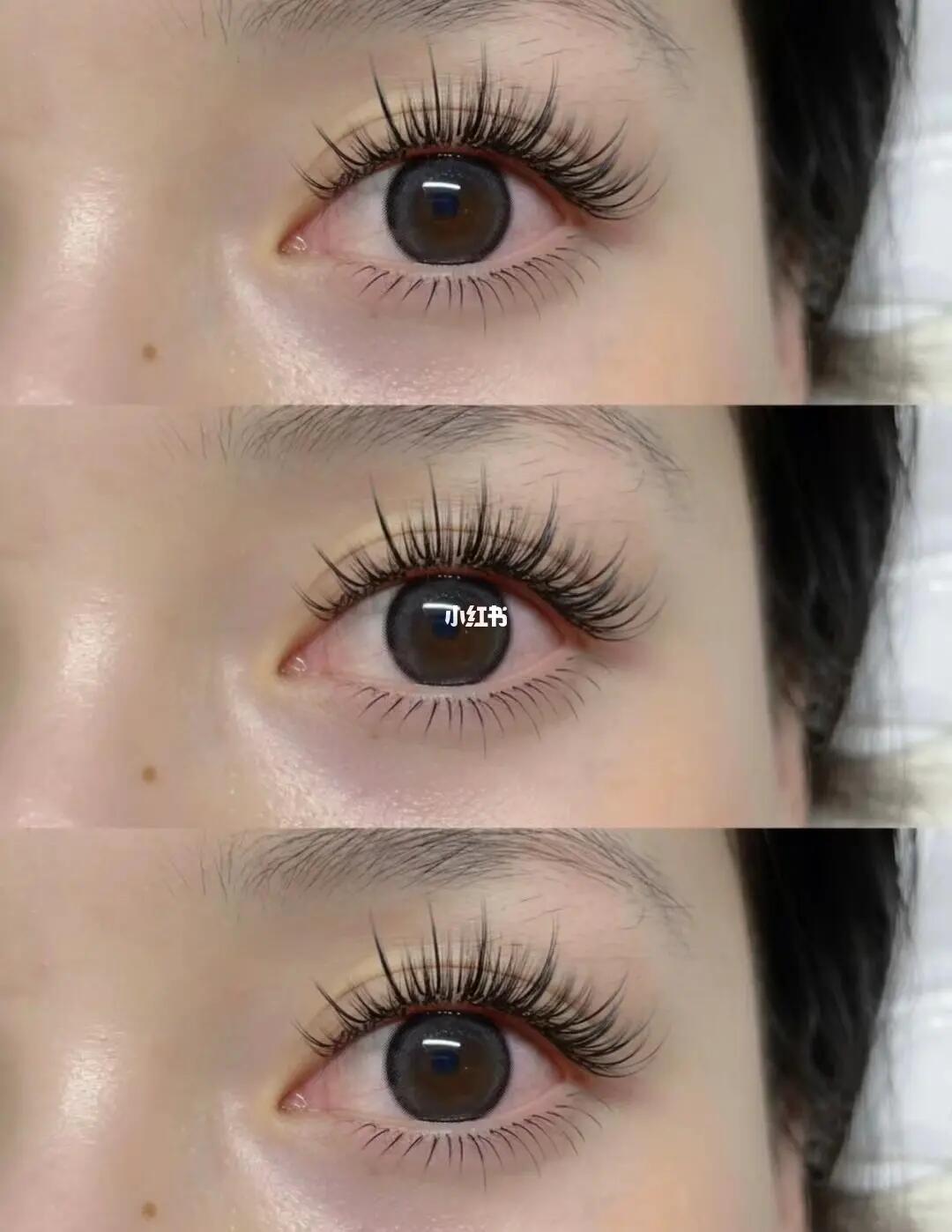 太阳花款77下睫毛