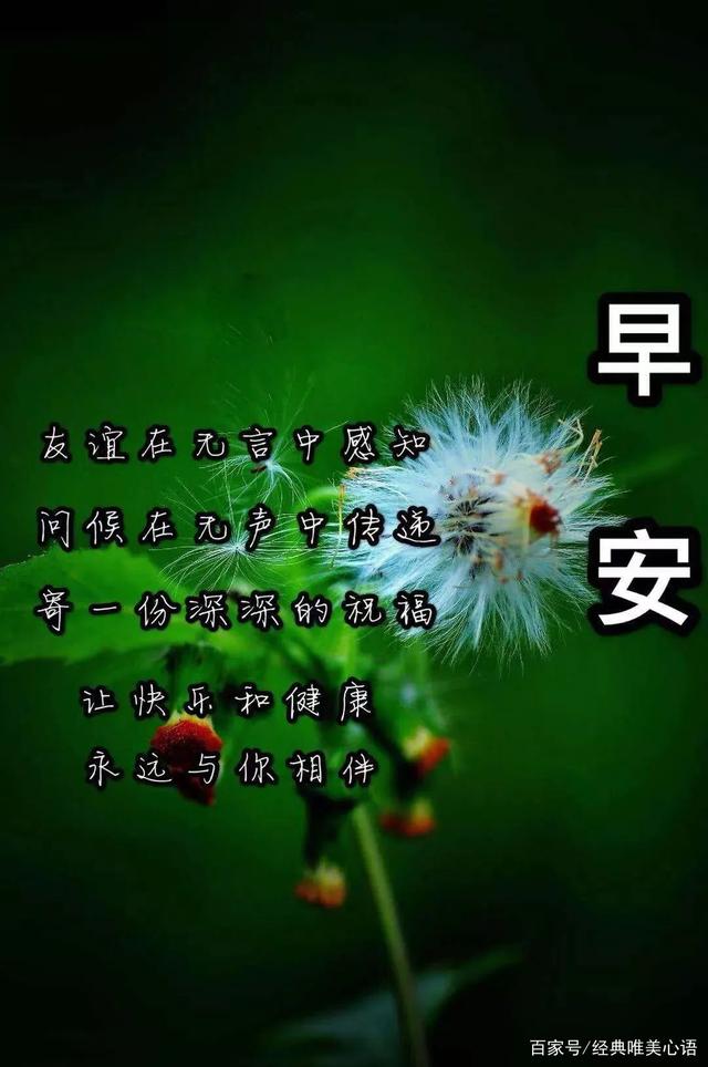 星期五清早天冷了早上好问候语阳光图片新的一天早安问语说说句子
