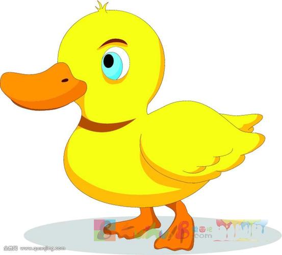 动物简笔画怎么画最漂亮带颜色的