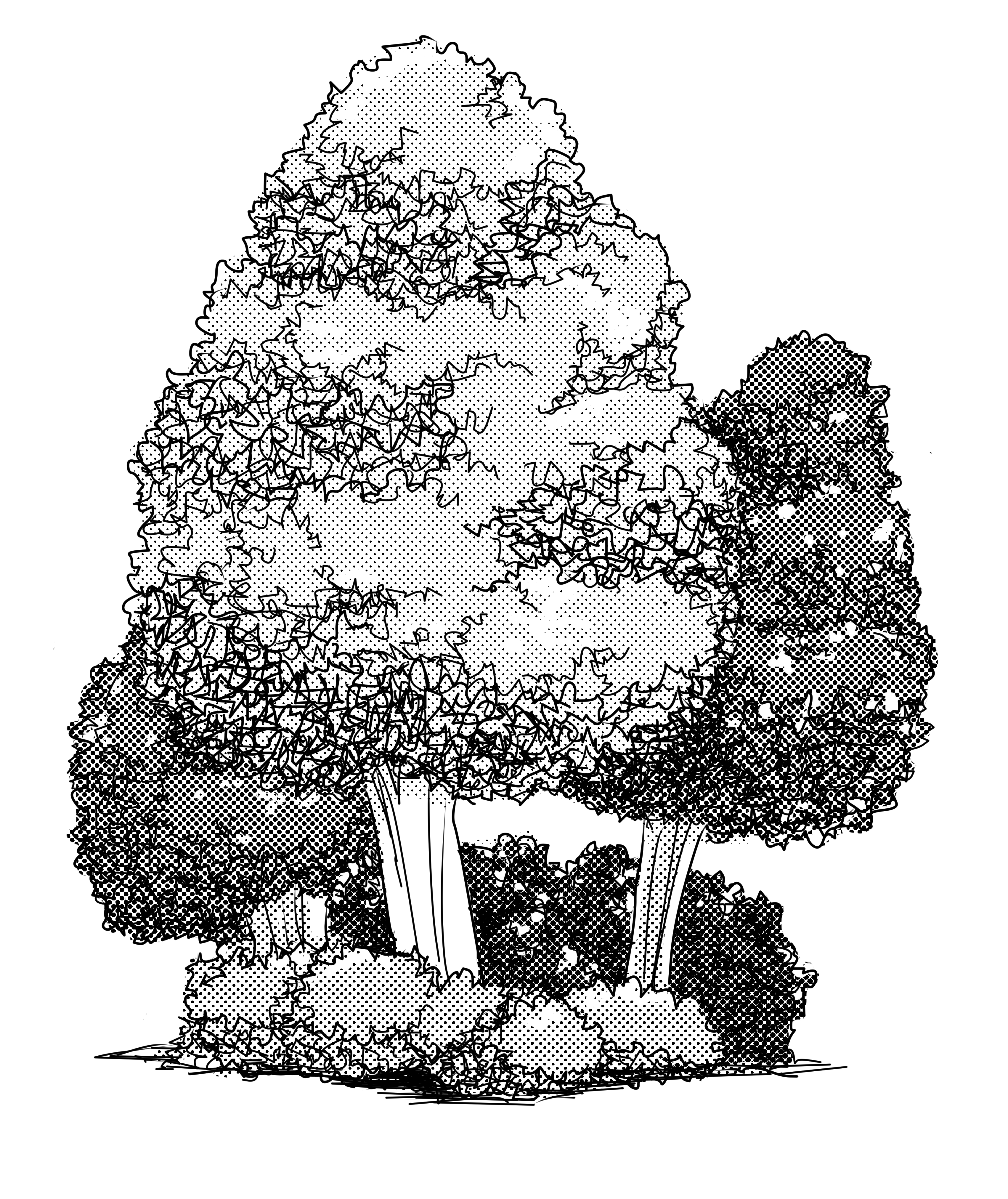 第88课树丛的画法