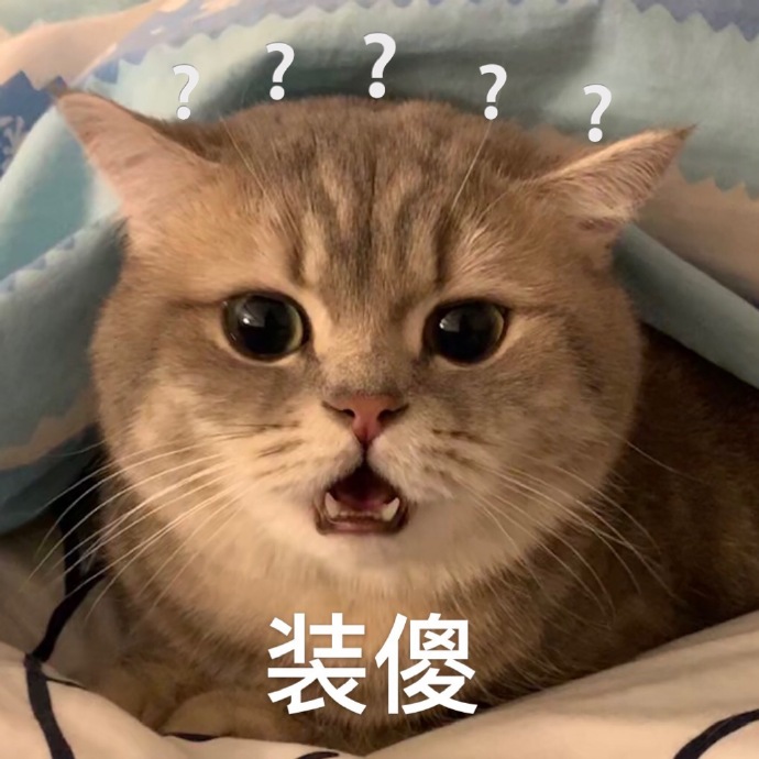 萌宠喵星人装傻不懂搞怪逗gif动图_动态图_表情包下载_soogif