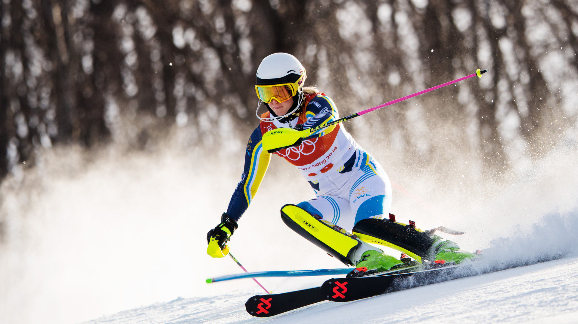 2022北京冬奥会比赛项目——高山滑雪 - 易班优课