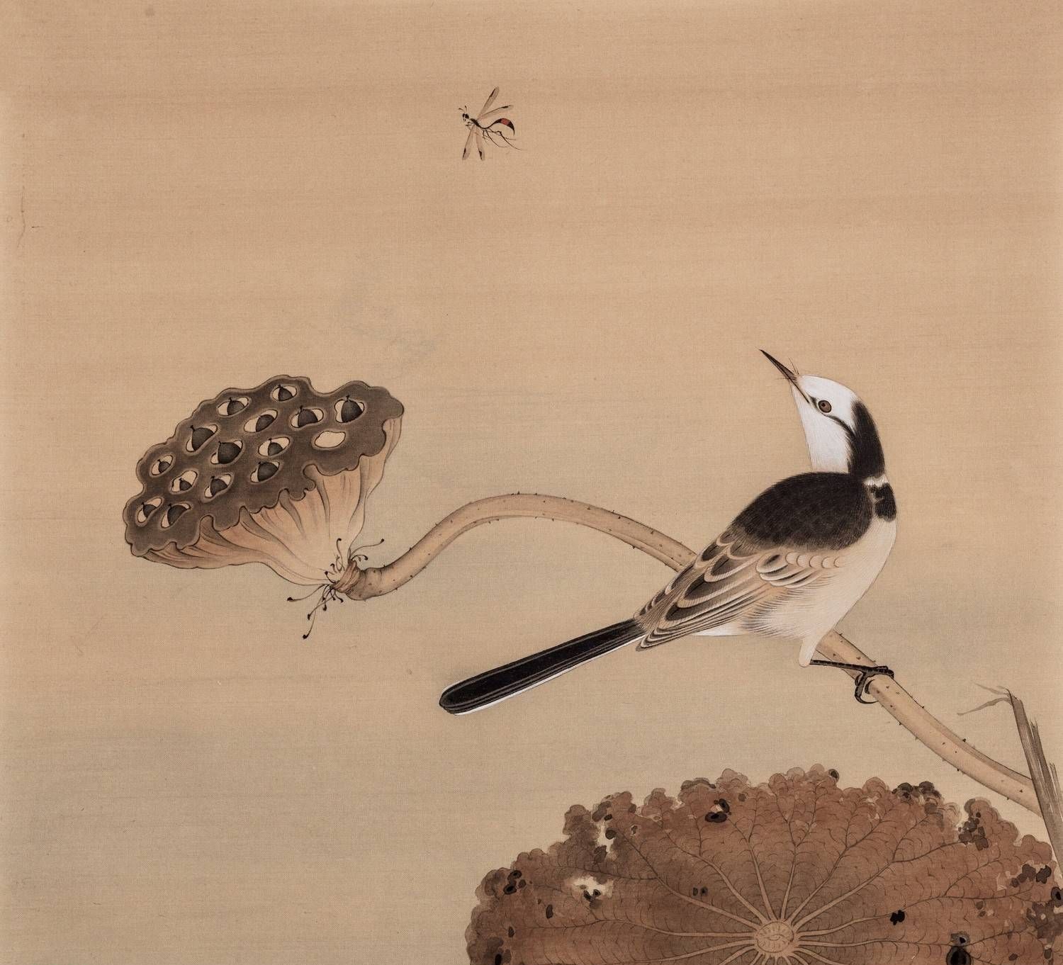 分享几张花鸟工笔画作品看看有没有你画的好