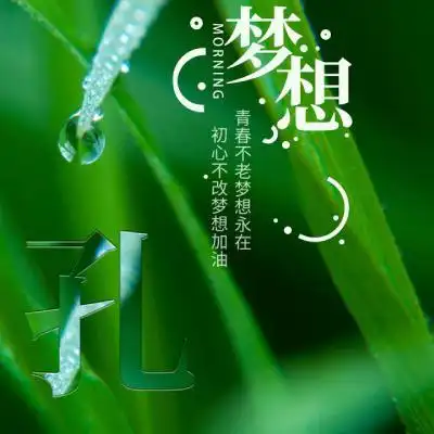 0 心情图片大全带字,心情头像图片清纯带字