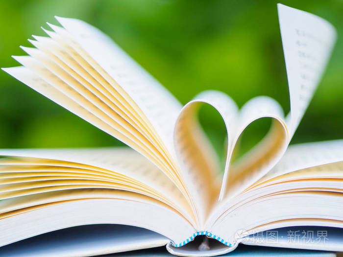 在顶一个打开与页成型的心形状的花园里的桌子上的书