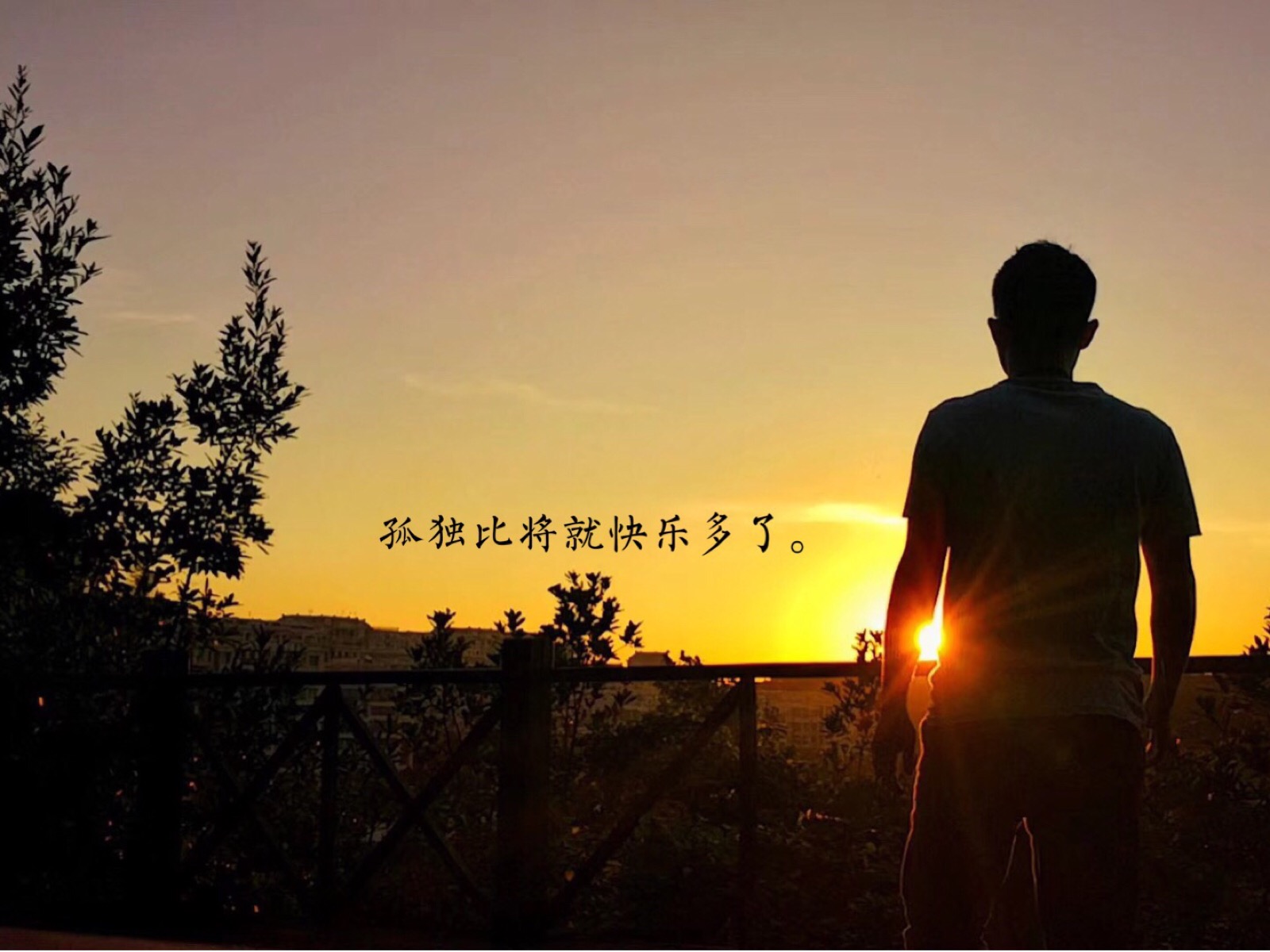 夕阳 日出 背影 孤独