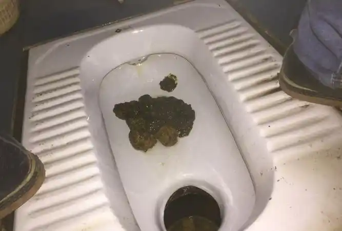 女生拉稀马桶都快拉满了 ,拉稀马桶都快拉满了视频