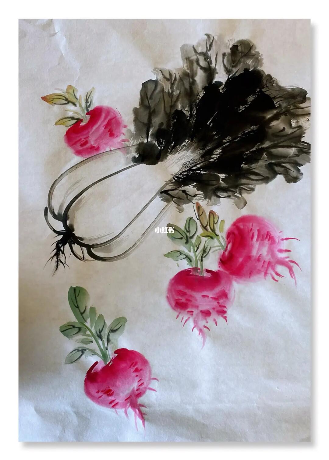 国画白菜萝卜写意