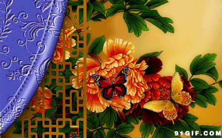 吸引动态图片-动态图片搜索引擎-专业图片搜索引擎 91gif.com